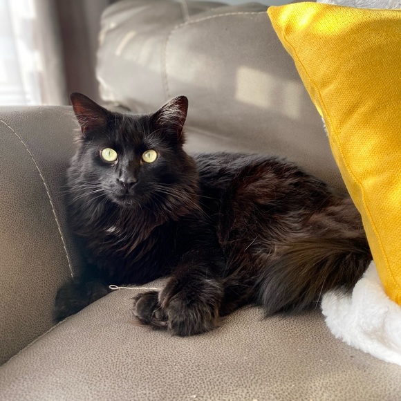 Meet your Posher, Andrea - Picture 1 of 1